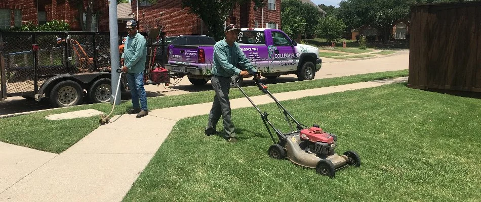 Crew mowing a lawn in Plano, TX, for a spring yard cleanup.