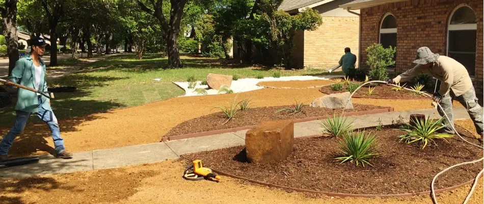 Softscape service performed by lawn care employees in Plano, TX.