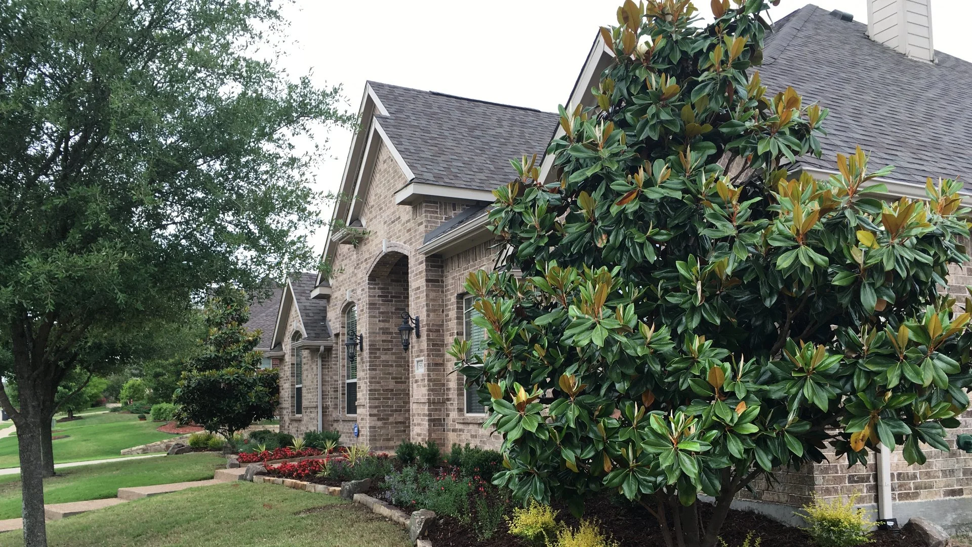 Landscape bed with neatly arranged blocks, trees, and shrubs in Murphy, TX.