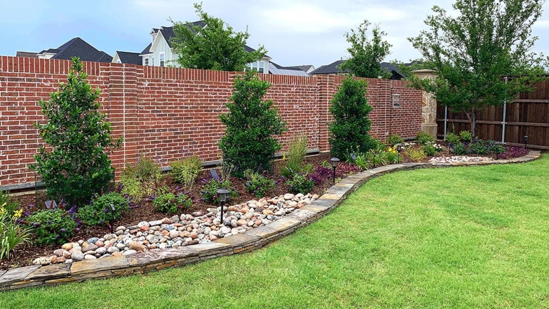 Healthy trees and shrubs at home in Plano, TX.