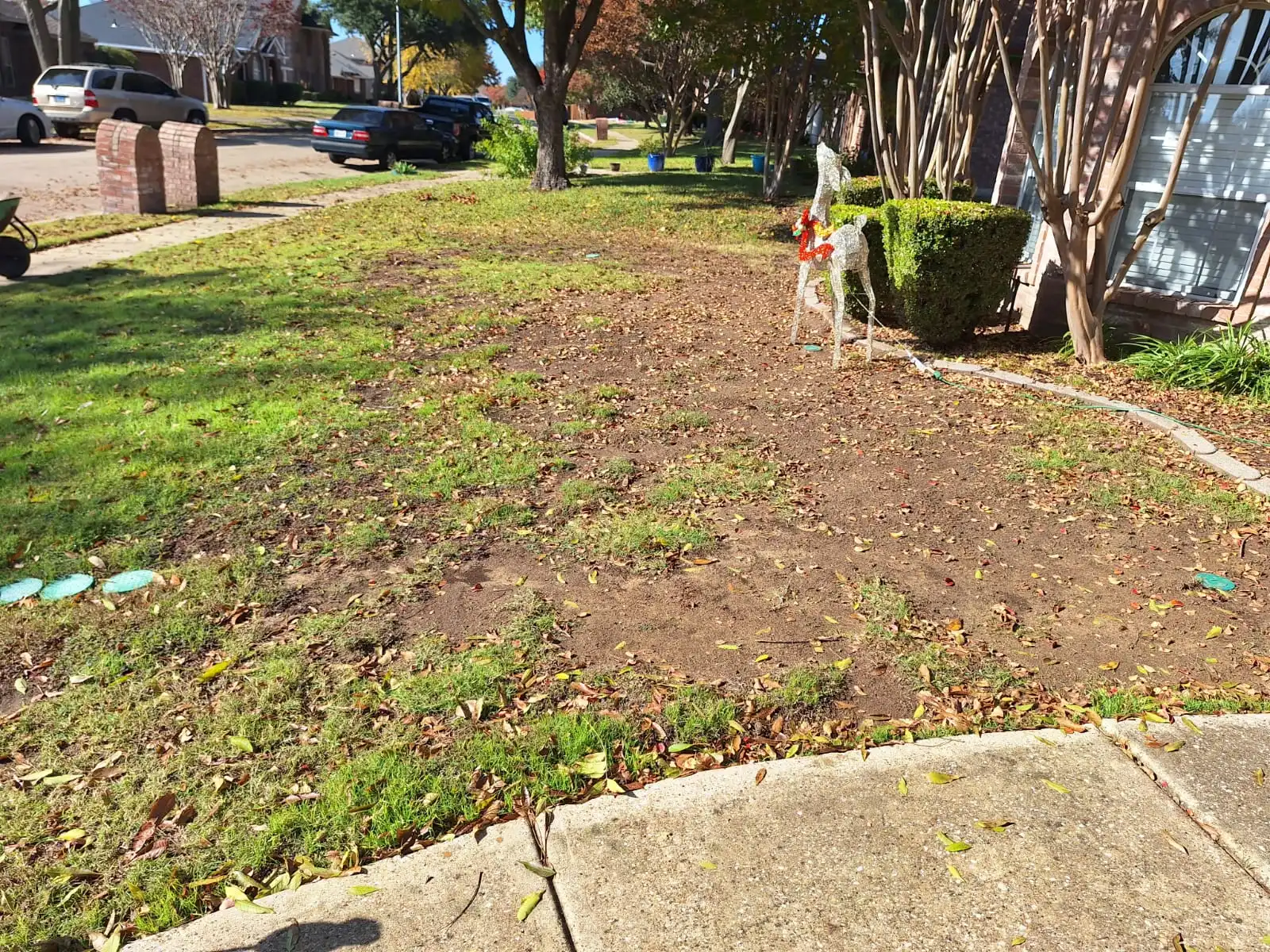 Sod to Splendor: How to Improve Sod Installation Success with Starter Fertilizer