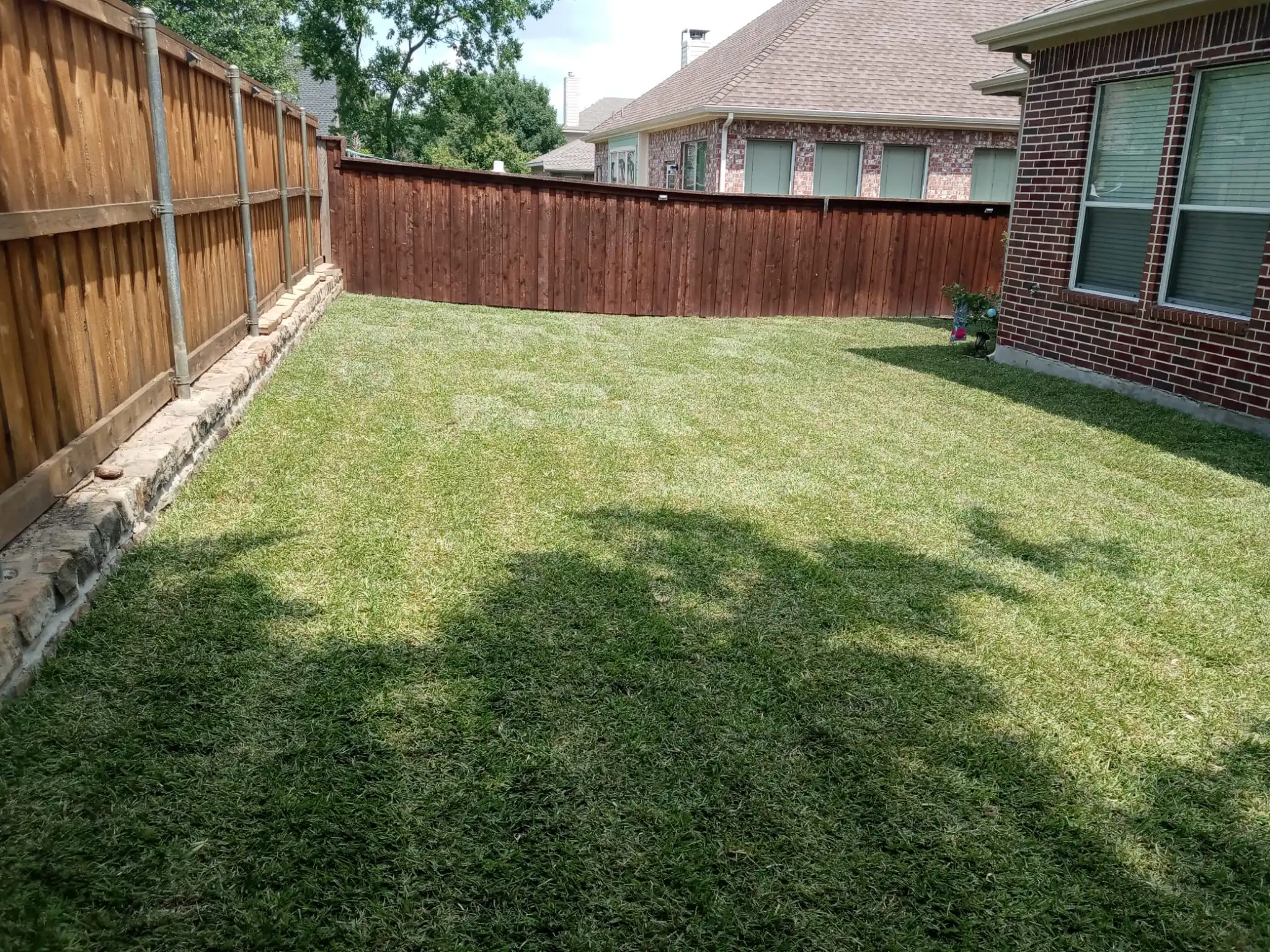 From Dull to Lush: How Liquid Aeration Benefits Your Collin County, TX Lawn