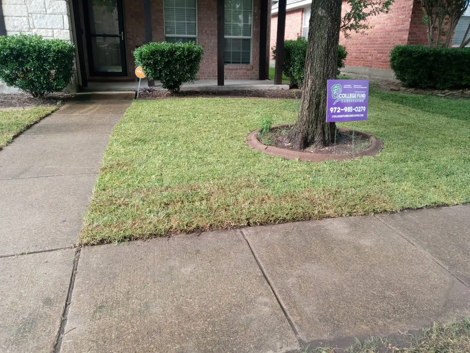 Why October 31 Isn’t Just for Halloween: Fall Pre-Emergent Weed Control for North Dallas Lawns