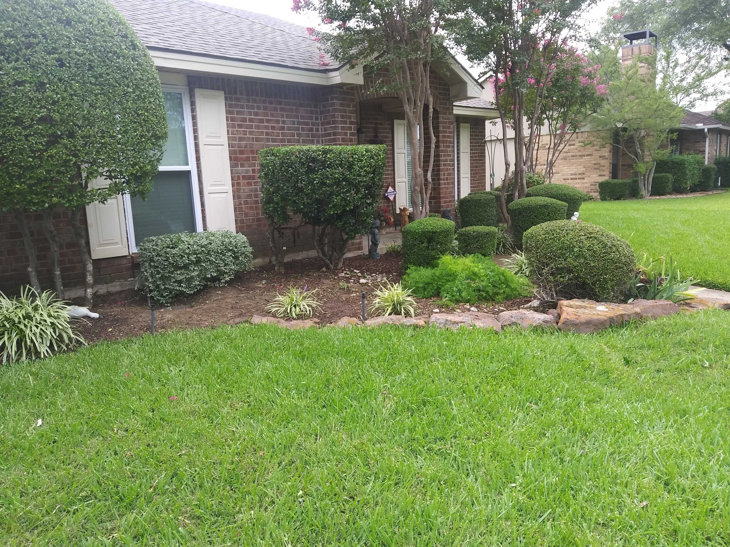 Six Things to Consider when Choosing a Lawn Care Provider in Plano TX