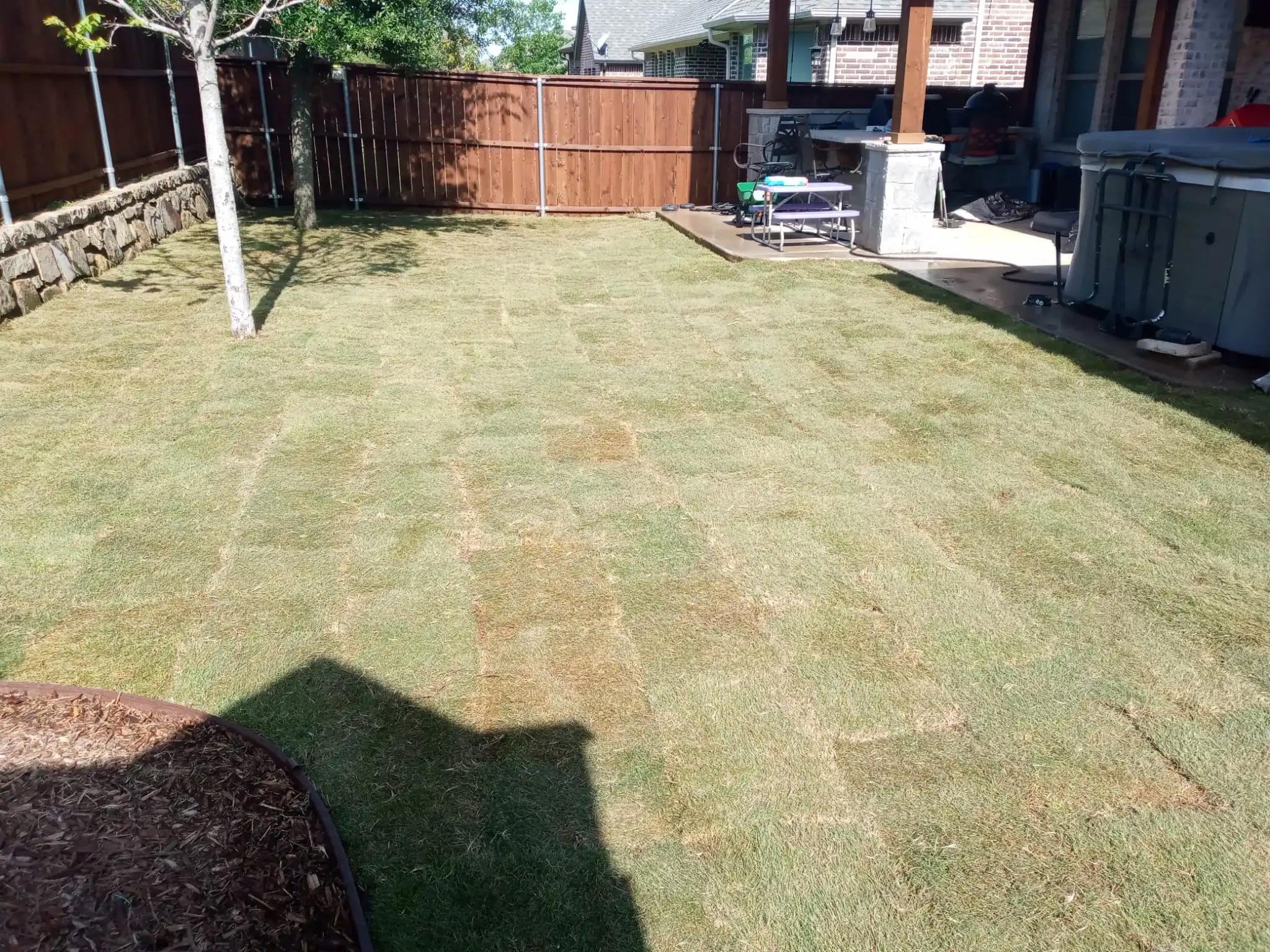 Sod Types and Installation tips in North Texas