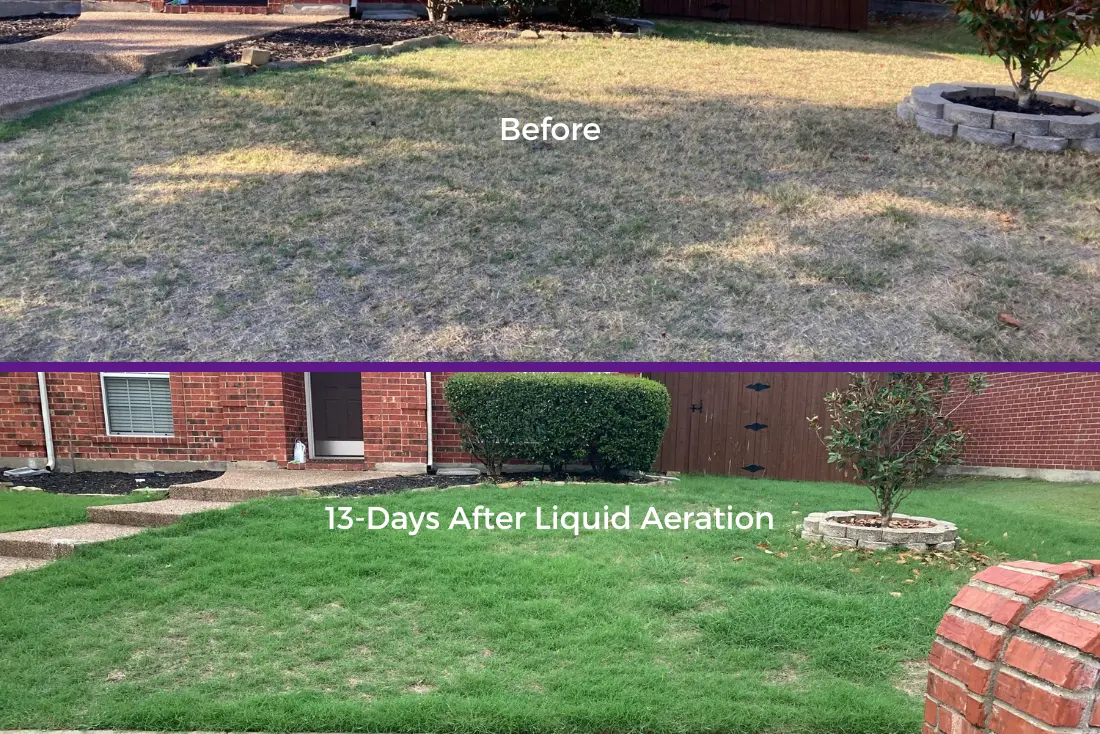 Liquid Aeration – The Science Behind The Ideal Solution