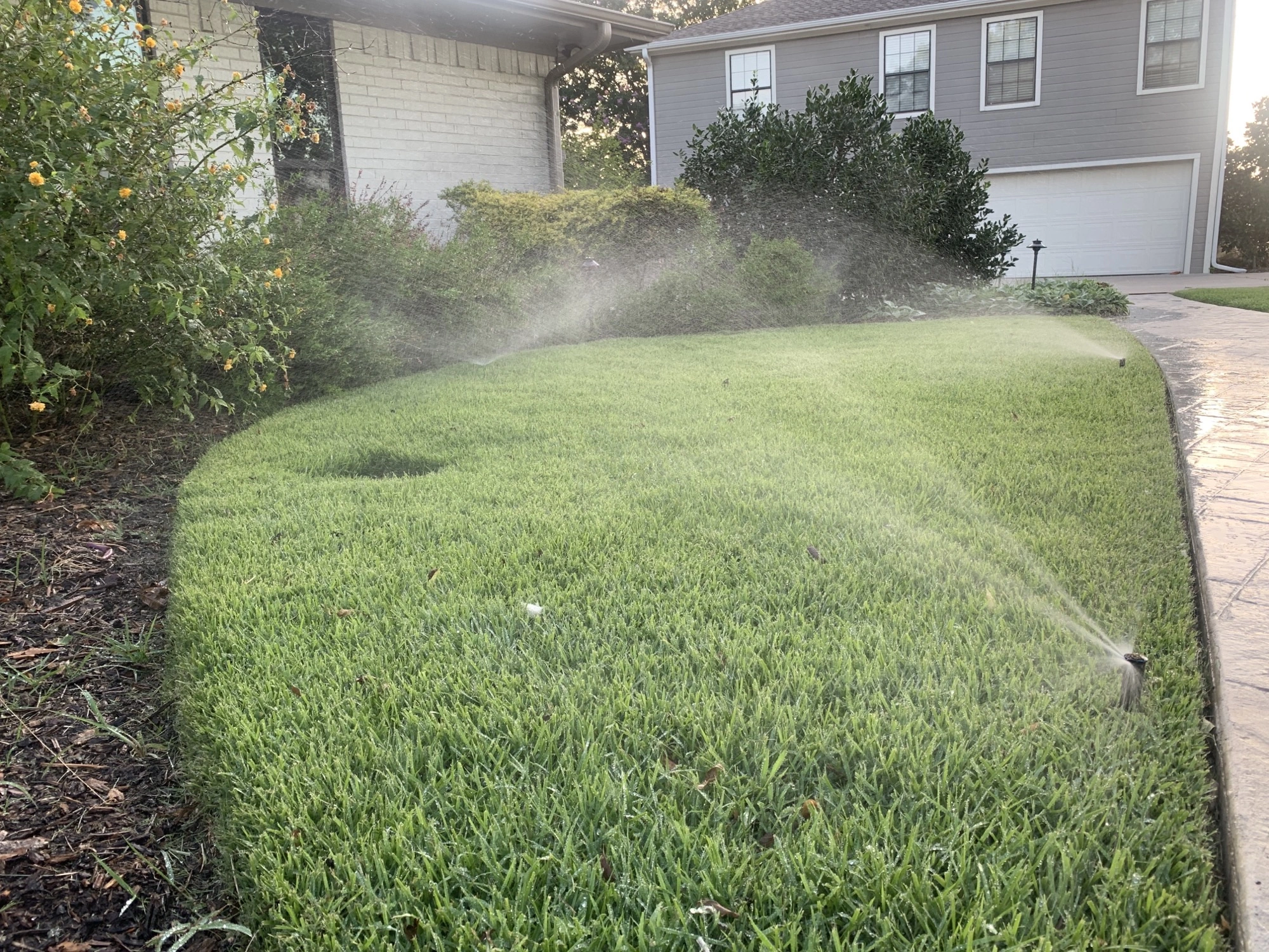Will Fertilizer Kill My Grass? Debunking Common Myths about Lawn Fertilizer for Homeowners
