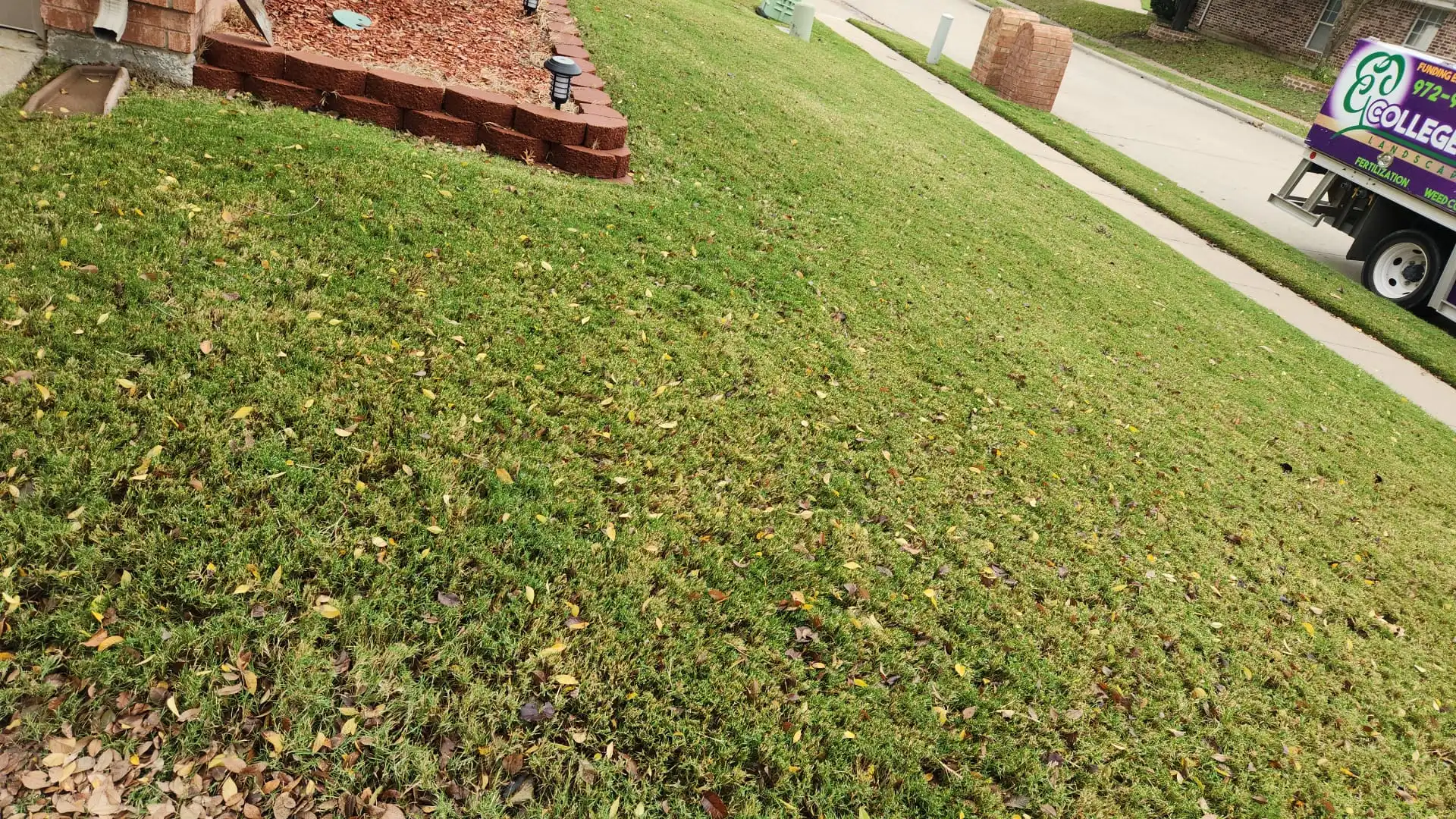 Late Fall Tips To Prepare Your Texas Lawn For Winter