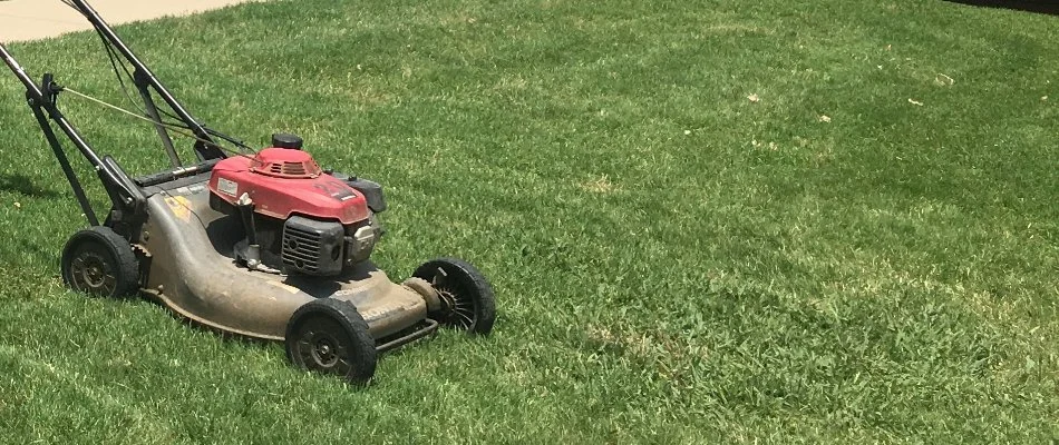 A lawn mower on a recently mowed lawn in Plano, TX.