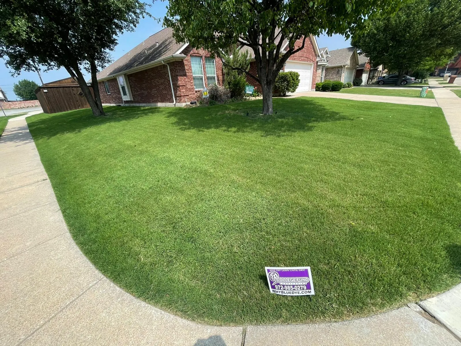 How to Stop Grubs from Feasting on Your North Texas Lawn