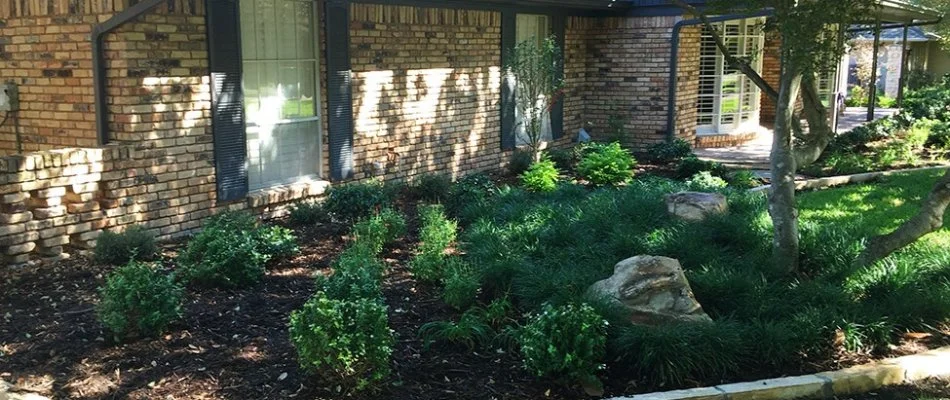 Trees and shrubs in Little Elm, TX, planted in landscape bed.