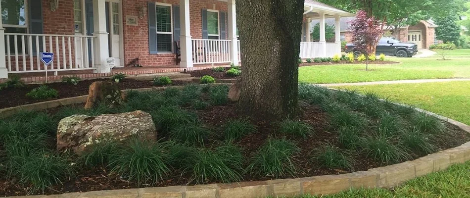 Landscape bed with plants in Frisco, TX.
