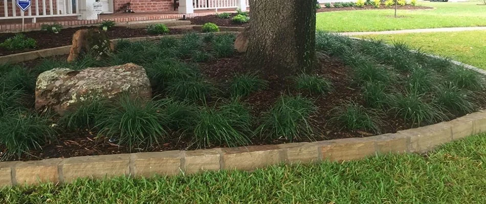 Landscape bed with plants and a tree in Plano, TX.