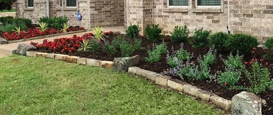 Landscape bed in Garland, TX, with mulch, small plants, and flowers.