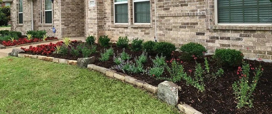 Landscape bed with plants in Wylie, TX.