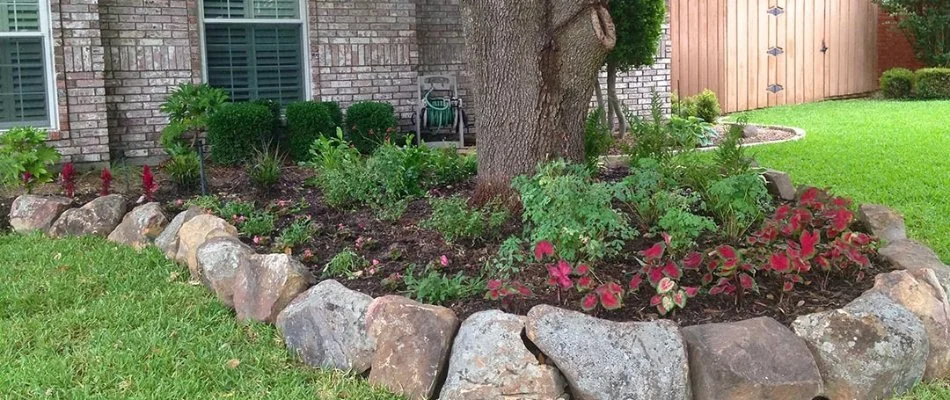 Landscape in Murphy, TX, with a boulder border, shrubs, flowers, and a tree.