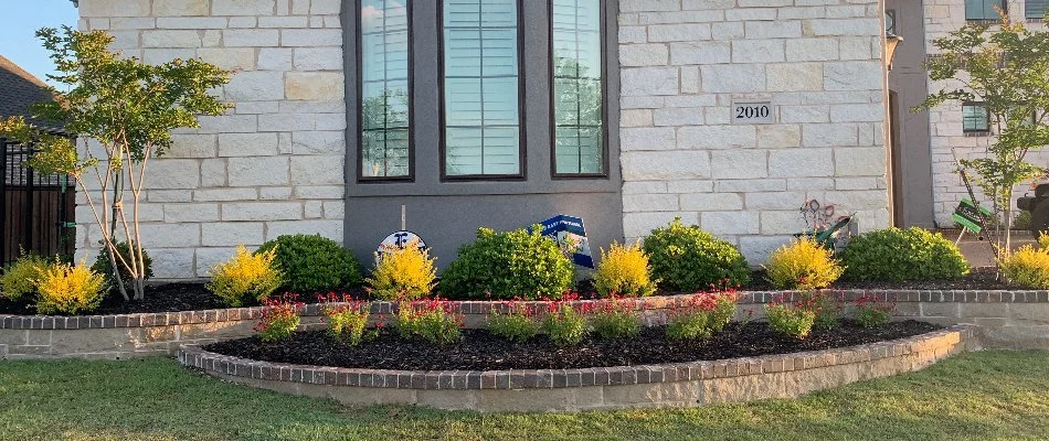 Landscape bed in front of residence near Little Elm, TX.