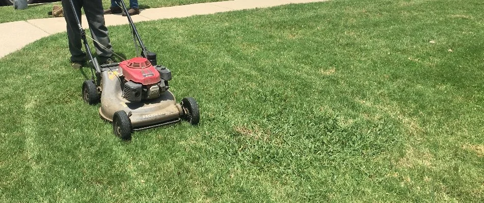 Employee mowing a lawn in Lavon, TX.