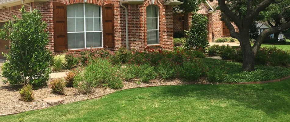 Mulched landscape bed in Lucas, TX, with shrubs and trees.