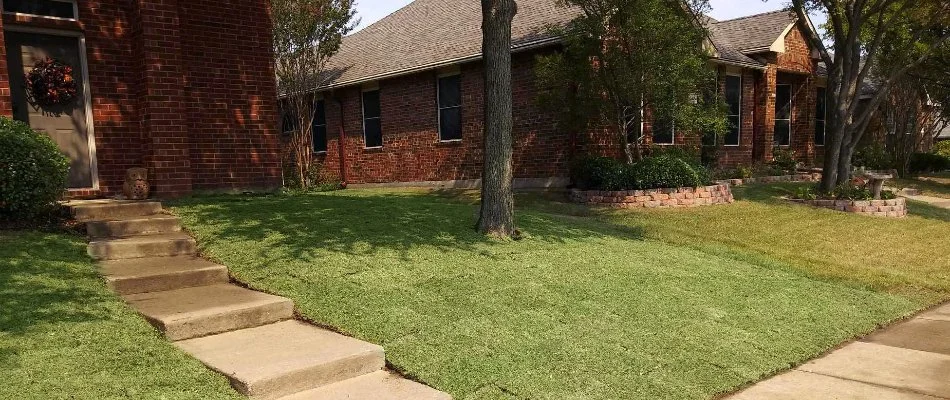Front lawn at residential property in Dallas, TX.