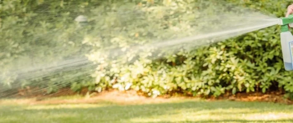 Spraying a liquid aeration treatment to a lawn in Plano, TX.