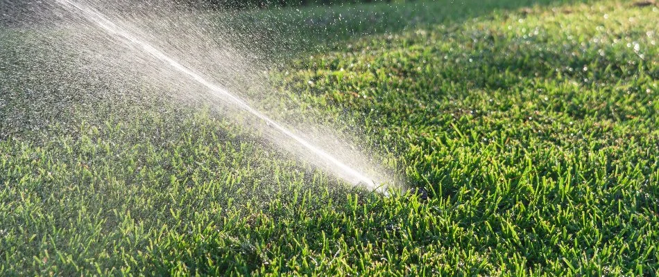 Irrigation system running on lawn in Plano, TX.